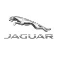 Jaguar szövetszőnyeg